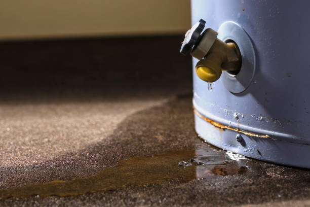 Best Sewage cleanup and water damage restoration  in Douglass, KS