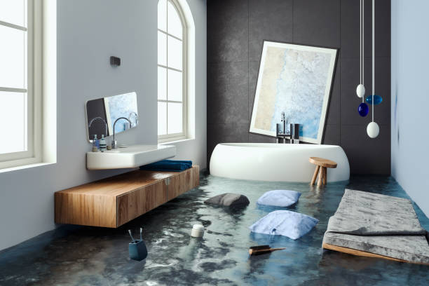 Best Water damage cleanup near me  in Douglass, KS