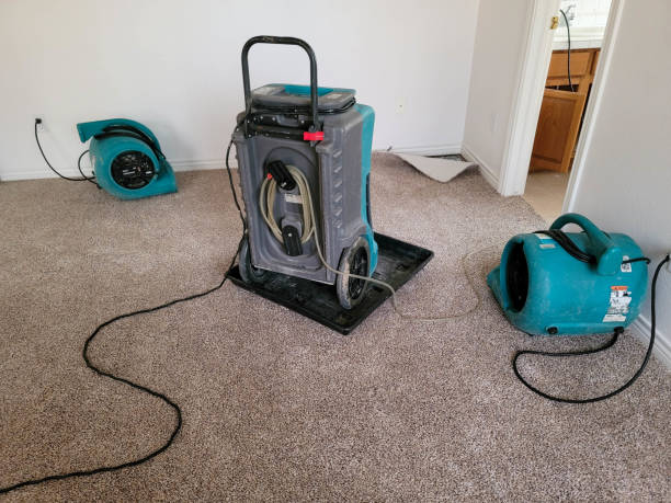 Best Carpet water damage restoration  in Douglass, KS