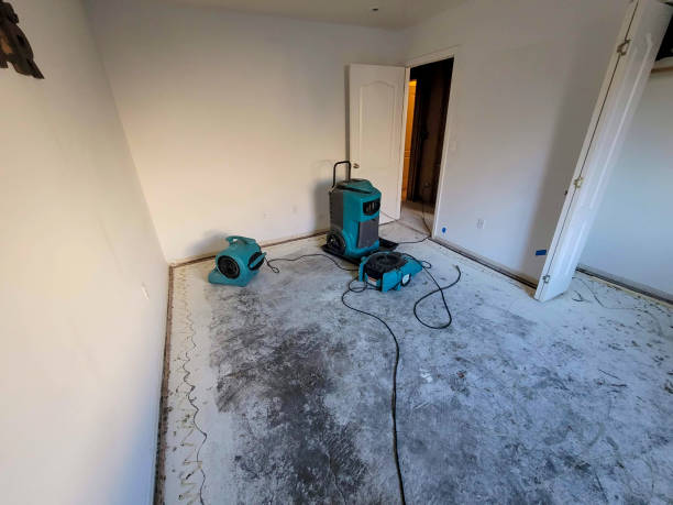 Best Flood damage cleanup  in Douglass, KS