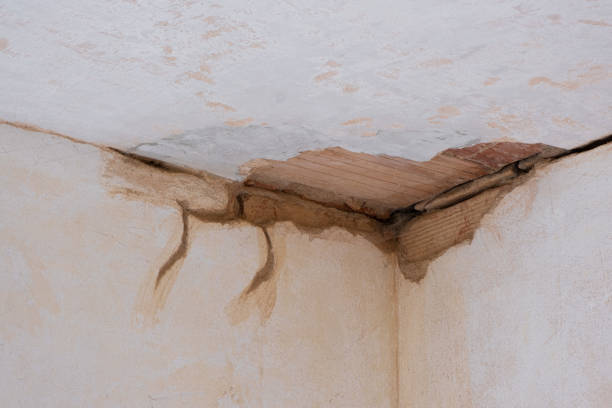 Best Basement water damage restoration  in Douglass, KS